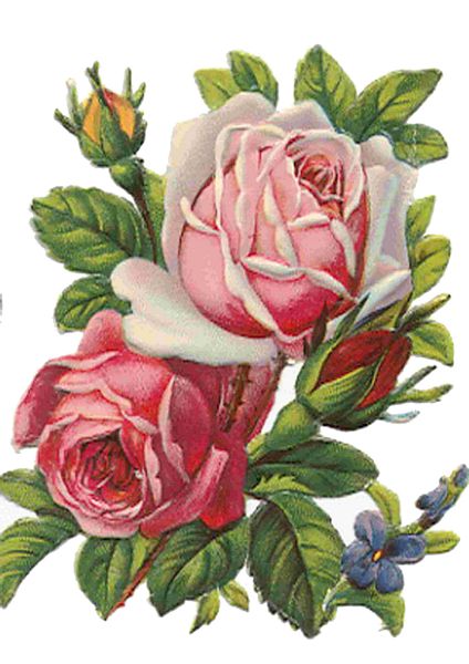 Fountain of Flowers 2 -  Set 03. 60 Pages to DOWNLOAD